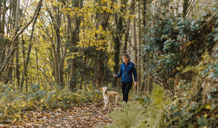 woman and dog walking in the woods