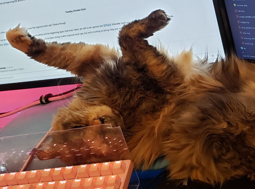 cat blocking the screen