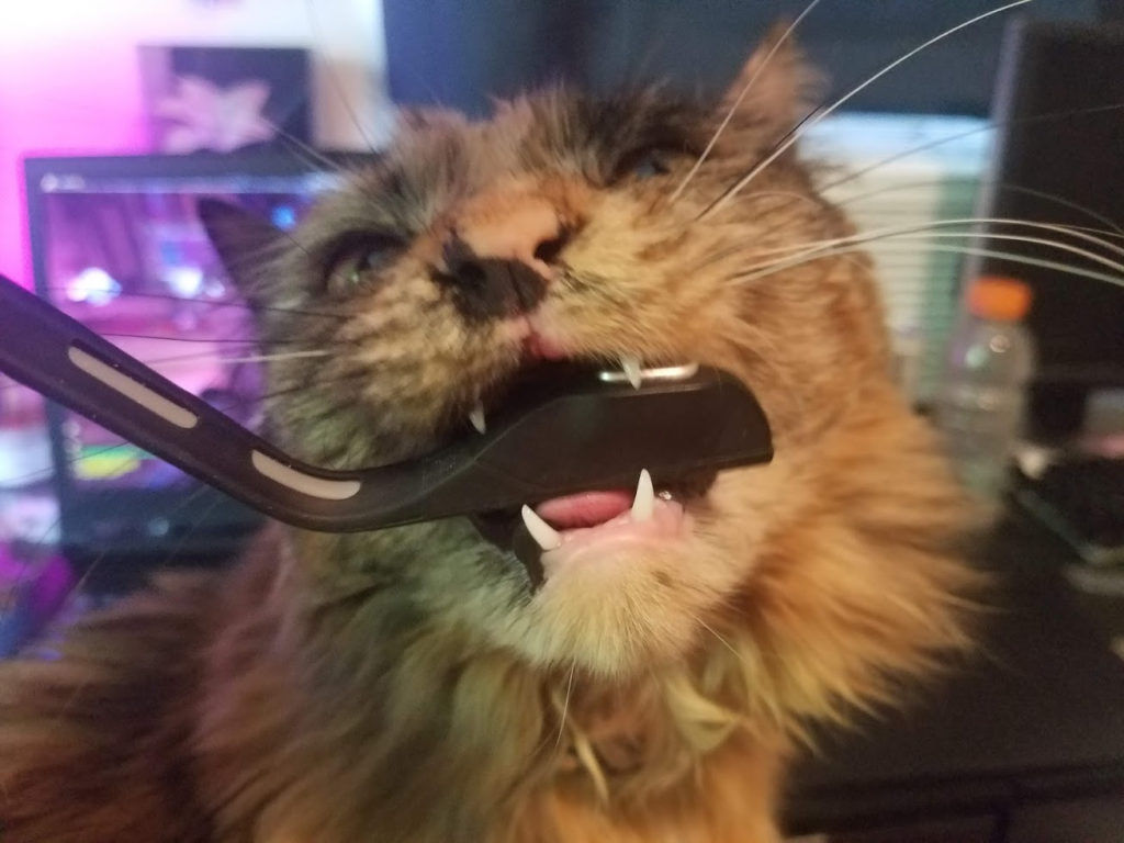 Lenora chewing on a microphone